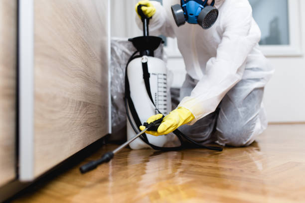 Professional Pest Control in Battlement Mesa, CO