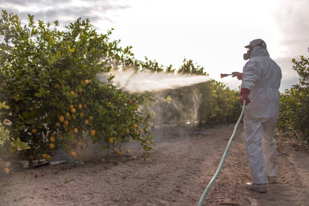 Best Affordable Pest Control Services  in Battlement Mesa, CO