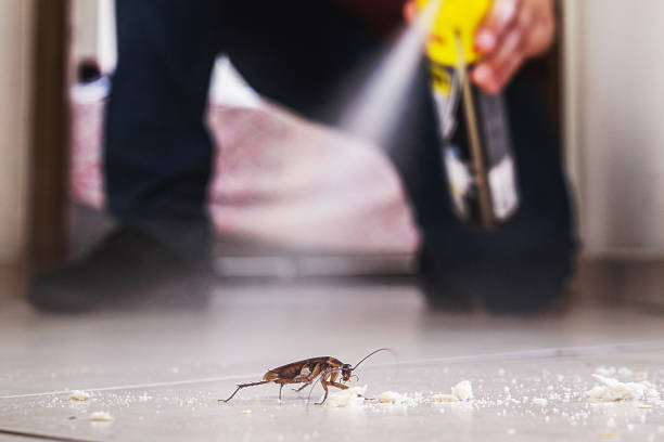  Battlement Mesa, CO Pest Control Pros
