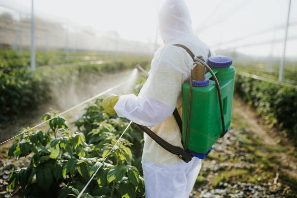 Best Residential Pest Control  in Battlement Mesa, CO